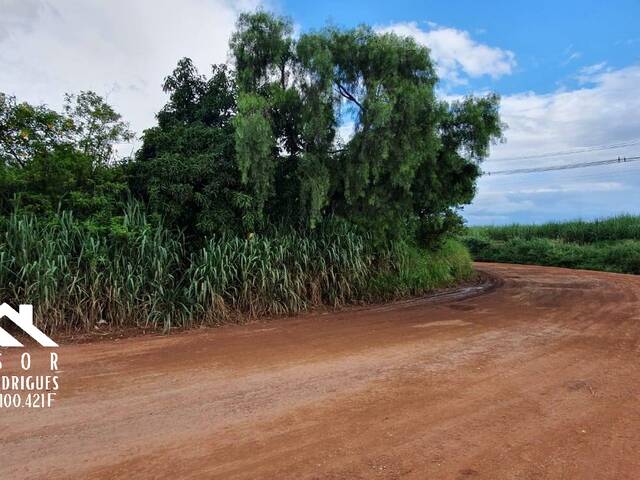 Sítio para Venda em Limeira - 4