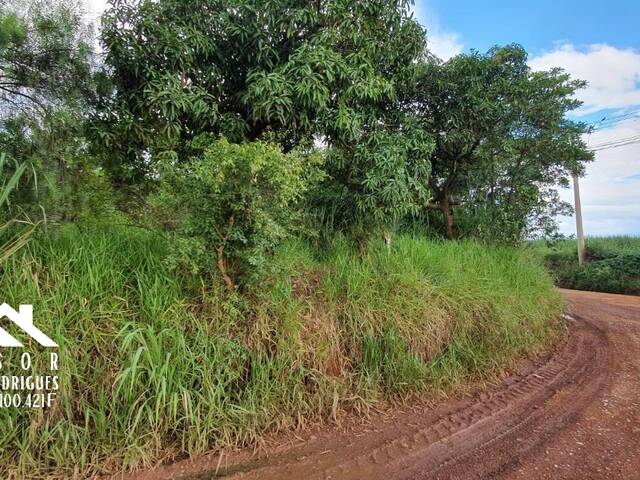 Sítio para Venda em Limeira - 3