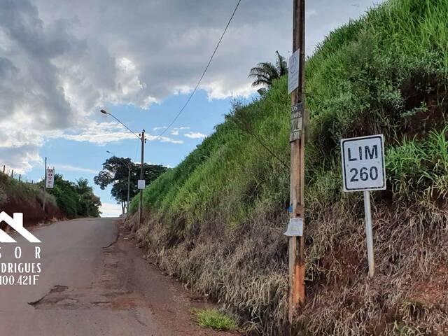 #106 - Sítio para Venda em Limeira - SP - 1