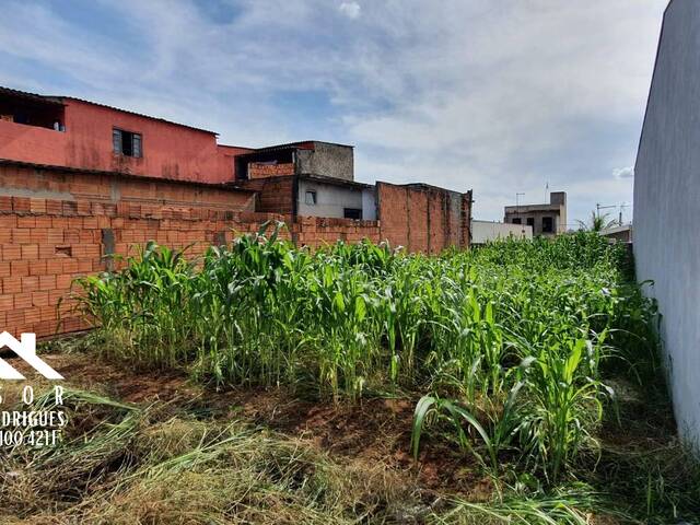 #285 - Terreno para Venda em Limeira - SP - 3