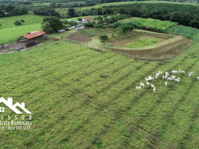 Sítio para Venda em Limeira - 4