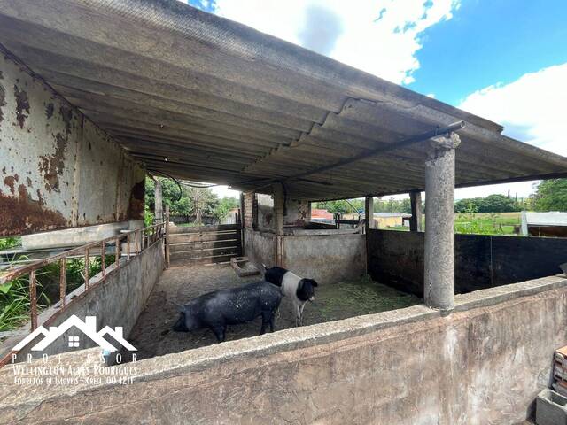 Chácara para Venda em Limeira - 2