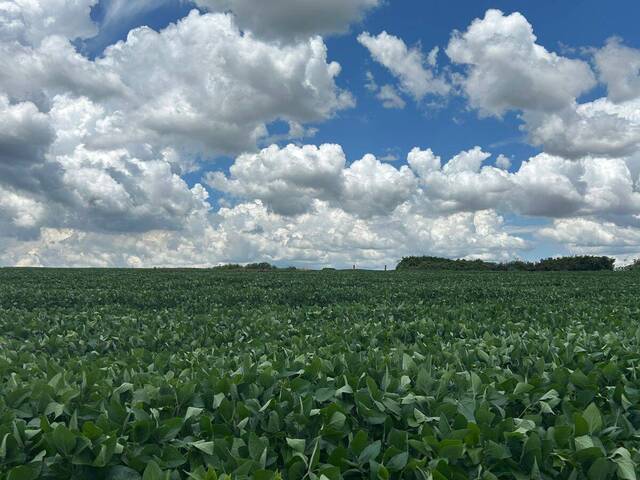 Área para Venda em Limeira - 4