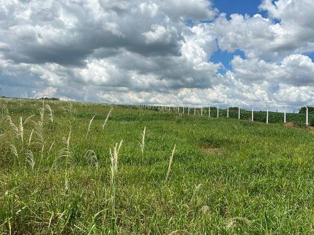 Área para Venda em Limeira - 4