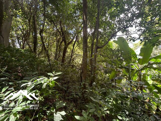 Área para Venda em Limeira - 4