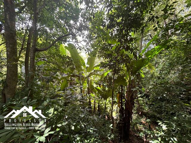 Área para Venda em Limeira - 5