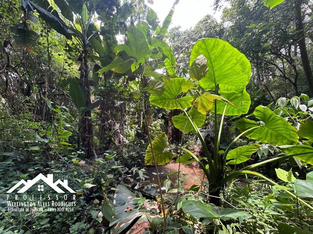 Área para Venda em Limeira - 3